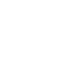 Consultancy Services and Customer Cares